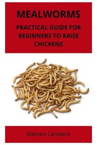 Mealworms