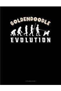 Goldendoodle Evolution