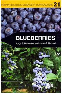 Blueberries