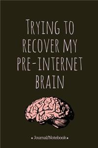 Trying to recover my pre-internet brain