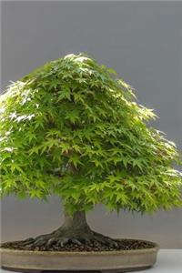 Green Leafed Japanese Bonsai Journal