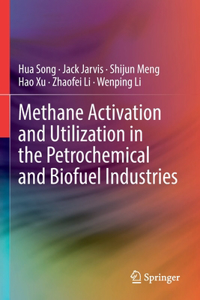 Methane Activation and Utilization in the Petrochemical and Biofuel Industries