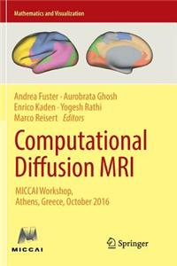 Computational Diffusion MRI