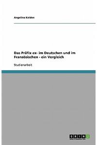 Präfix ex- im Deutschen und im Französischen - ein Vergleich