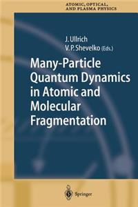 Many-Particle Quantum Dynamics in Atomic and Molecular Fragmentation