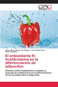 antioxidante N-Acetilcisteína en la diferenciación de adipocitos