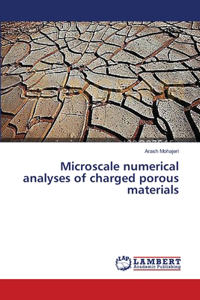 Microscale numerical analyses of charged porous materials