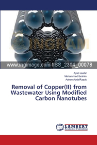 Removal of Copper(II) from Wastewater Using Modified Carbon Nanotubes