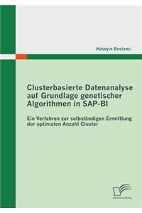 Clusterbasierte Datenanalyse auf Grundlage genetischer Algorithmen in SAP-BI