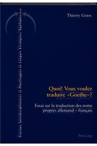 Quoi! Vous Voulez Traduire «Goethe»?
