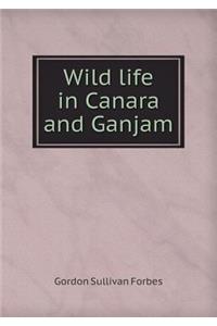 Wild Life in Canara and Ganjam