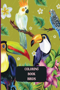 Coloring Book Birds