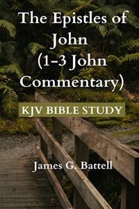 Epistles of John (1-3 John Commentary)