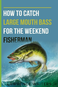 How to Catch Large Mouth Bass for the Weekend Fisherman