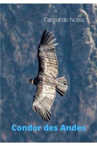 Carnet de Notes Condor des Andes: Condor des Andes - Grand format - 7 x 10 pouces - Pour tous les passionnés et amoureux de ce grand et bel oiseau, le majestueux Condor des Andes.