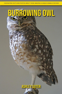 Burrowing Owl