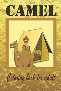Camel coloring book for adult