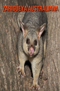 Zarigüeya australiana