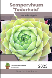 Sempervivum 'Tederheid'