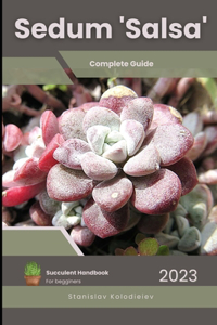 Sedum 'Salsa'