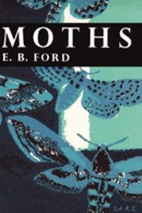 Moths