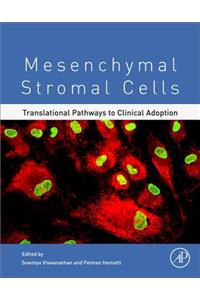 Mesenchymal Stromal Cells