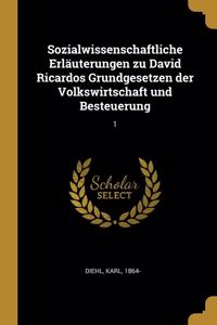 Sozialwissenschaftliche Erläuterungen zu David Ricardos Grundgesetzen der Volkswirtschaft und Besteuerung