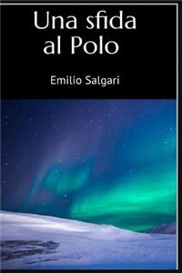 Una Sfida Al Polo