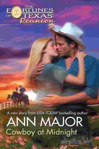 Cowboy at Midnight