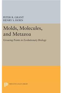 Molds, Molecules, and Metazoa