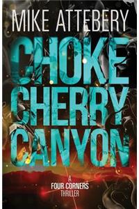 Chokecherry Canyon
