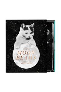 Moonbeams Greeting Card Assortment