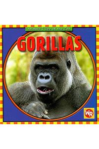 Gorillas