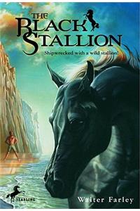 Black Stallion