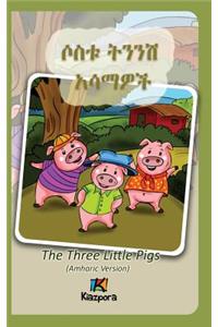 Sostu Tininish Asemawe'Ch - Amharic Children's Book