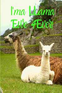 Alpaca/Llama Notebook Journal