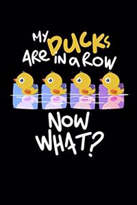 My Ducks are in a Row Now What?