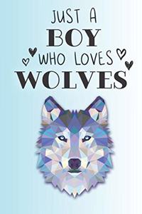 Just A Boy Who Loves Wolves