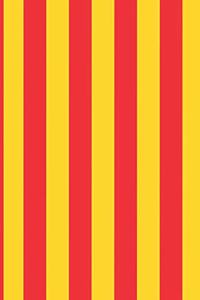 Catalonian flag journal