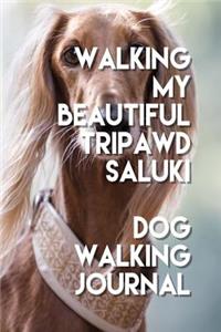 Walking My Beautiful Tripawd Saluki Dog Walking Journal