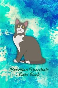 Brazilian Shorthair Cats Rock