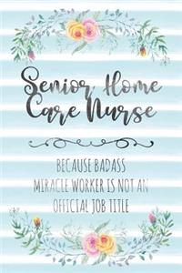 Senior Home Care Nurse