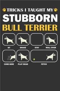 Bull Terrier Journal