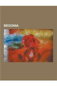 Begonia: Angel Wing Begonia, Begonia Acerifolia, Begonia Adpressa, Begonia Aequatorialis, Begonia Aequilateralis, Begonia Aeran
