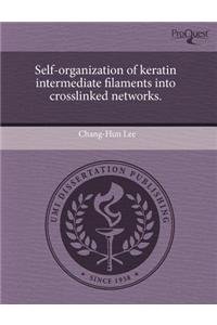 Self-Organization of Keratin Intermediate Filaments Into Crosslinked Networks