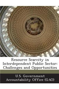 Resource Scarcity in Interdependent Public Sector