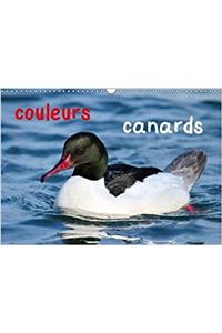 Couleurs Canards 2018