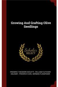 Growing and Grafting Olive Seedlings