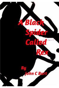 A Black Spider Called Rex.