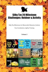 Silky Tzu 20 Milestone Challenges